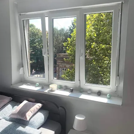 Daire Vojvoda 1 Sajmiste